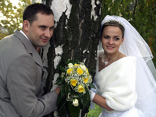 Image showing Just married near Tree