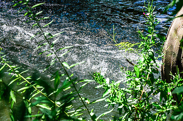 Image showing Water flows from the pipe into the river.