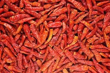 Image showing Birds eye chillis background