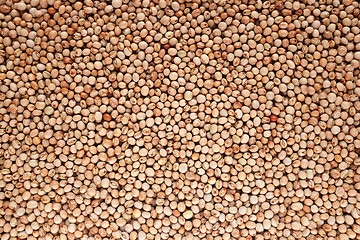 Image showing Dried pigeon peas background