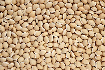 Image showing Bitter neavy beans background