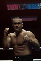 Image showing professional kickboxer in the training ring