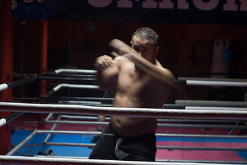 Image showing professional kickboxer in the training ring