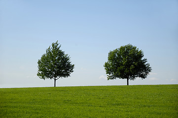 Image showing Landscape with two trees