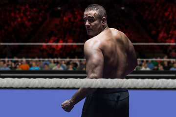 Image showing professional kickboxer in the training ring