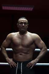 Image showing portrait of muscular professional kickboxer