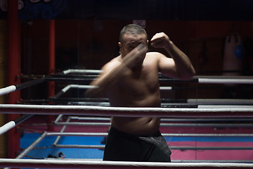 Image showing professional kickboxer in the training ring