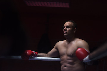 Image showing kick boxer resting on the ropes in the corner