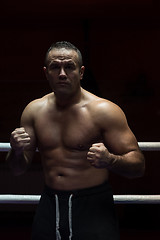 Image showing professional kickboxer in the training ring