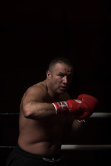 Image showing professional kickboxer in the training ring