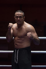 Image showing professional kickboxer in the training ring