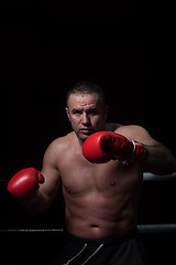 Image showing professional kickboxer in the training ring