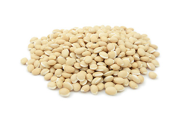 Image showing Dried neavy beans