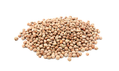 Image showing Dried pigeon peas