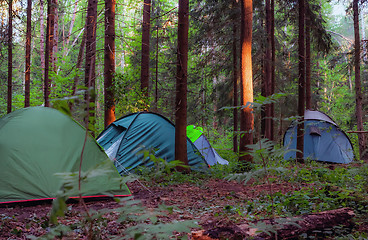 Image showing Camping In The Forest