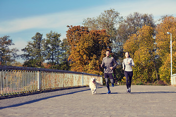 Image showing happy couple with dog running outdoors