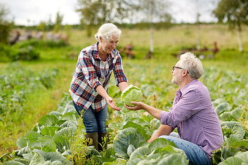 Image showing senior couple picking cabbage on farm