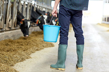 Image showing man with bucket in cowshed on dairy farm