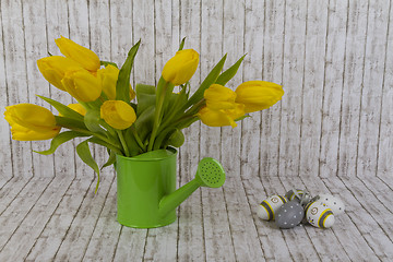 Image showing Yellow tulips in green watering can