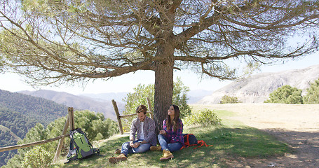 Image showing Couple under big wonderful tree