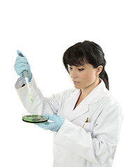 Image showing Researcher at work