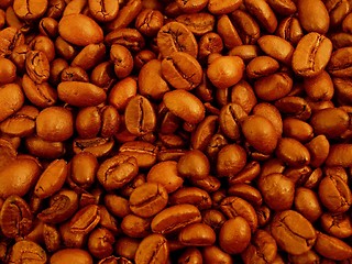 Image showing coffee grains