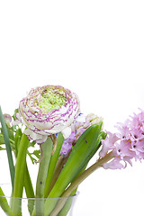 Image showing Ranunkulyus bouquet of red flowers on a white background