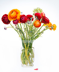 Image showing Ranunkulyus bouquet of red flowers on a white background