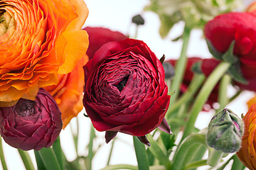 Image showing Ranunkulyus bouquet of red flowers on a white background