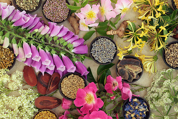 Image showing Medicinal Flower and Herb Selection