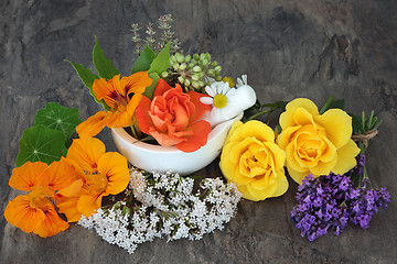 Image showing Natural Flowers used in Alternative  Herbal Medicine