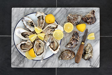 Image showing Aphrodisiac Food with Oysters  