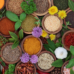 Image showing Herb and Spice Seasoning