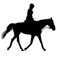 Image showing silhouette of horse and jockey