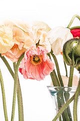 Image showing Daisy and poppy flowers bouquet