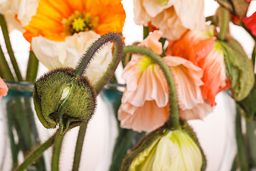 Image showing Daisy and poppy flowers bouquet