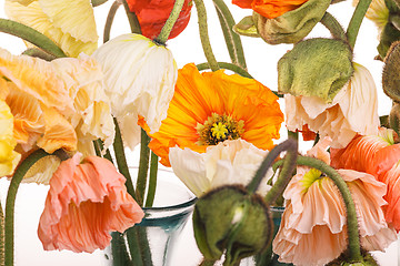 Image showing Daisy and poppy flowers bouquet