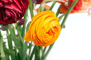 Image showing Ranunkulyus bouquet of red flowers on a white background