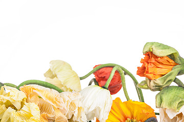 Image showing Daisy and poppy flowers bouquet