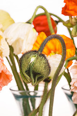 Image showing Daisy and poppy flowers bouquet