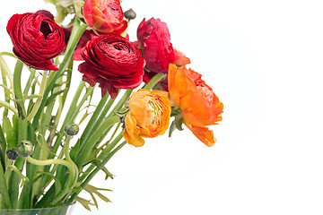 Image showing Ranunkulyus bouquet of red flowers on a white background