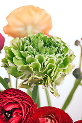 Image showing Ranunkulyus bouquet of red flowers on a white background