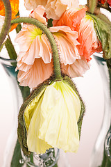 Image showing Daisy and poppy flowers bouquet