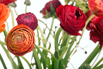 Image showing Ranunkulyus bouquet of red flowers on a white background