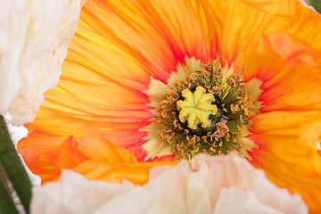 Image showing Daisy and poppy flowers bouquet