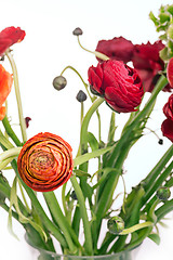 Image showing Ranunkulyus bouquet of red flowers on a white background