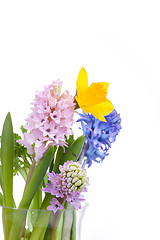 Image showing Spring flowers - hyacinth and narcissus on white background