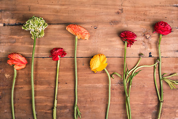 Image showing Ranunkulyus bouquet of red flowers on a wooden background