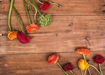 Image showing Ranunkulyus bouquet of red flowers on a wooden background