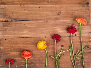 Image showing Ranunkulyus bouquet of red flowers on a wooden background